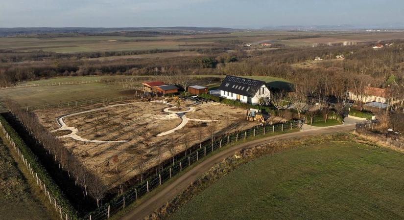 Bűnszervezetben elkövetett hivatali visszaélés miatt jelentheti fel Neszményi Zsolt korábbi főispánt a siófoki lómenhely