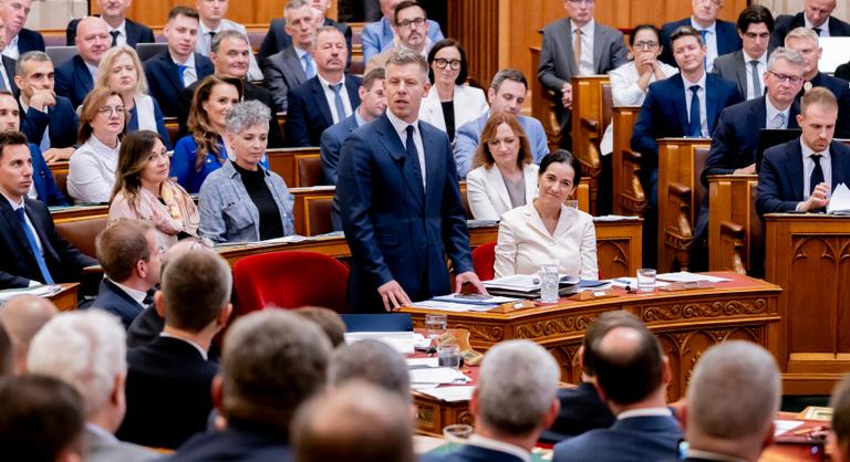 Javaslat a Forradalmi M. P. Kormány részére
