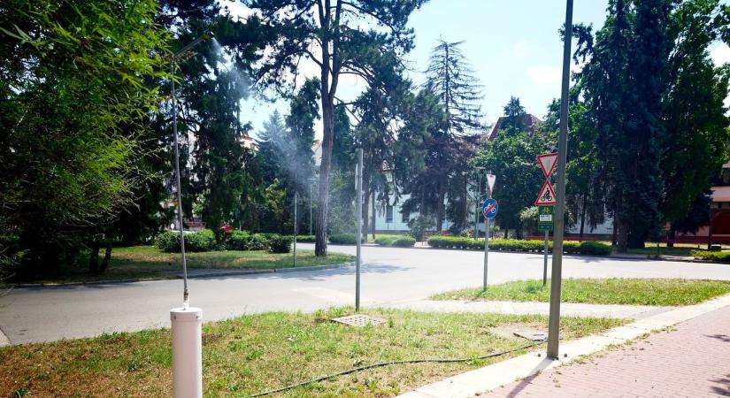 Már Csongrádon is bevetették a nyár egyik leghasznosabb fegyverét