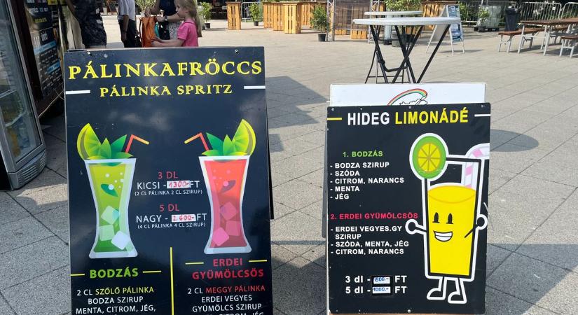 A Street Food fesztivál árai – ennyiből ihatunk és lakhatunk jól Kecskemét nagy nyári fesztiválján