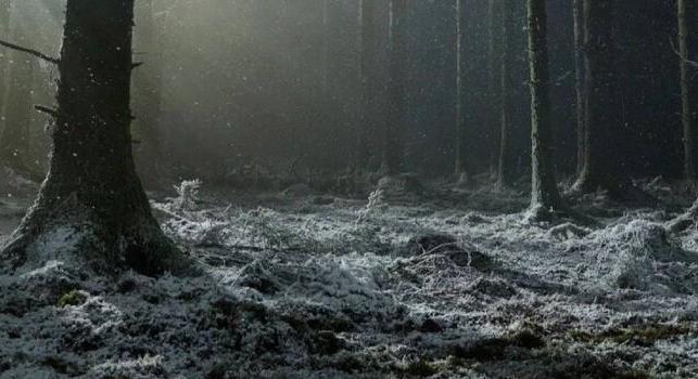 Középkori angol vérfarkas? Robert Eggers nem könnyíti meg a dolgunkat