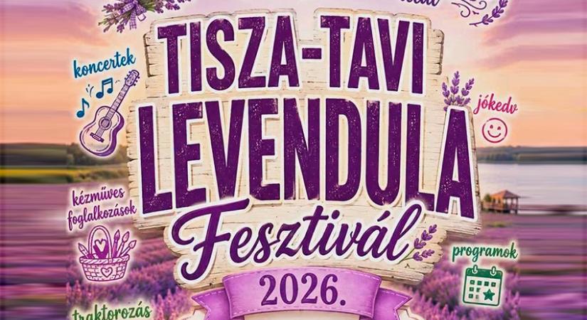 VI. Levendula Fesztivál Tiszaderzsen: Kétnapos lila varázslat és Szedd magad akció várja a látogatókat