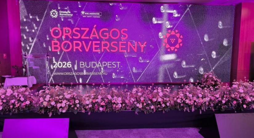 45. Országos Borverseny: ezek a magyar borok taroltak idén, mutatjuk a győzteseket