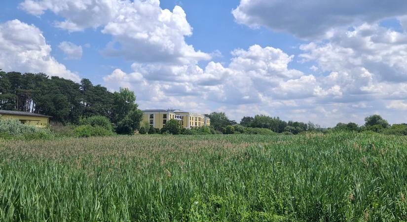 Természetvédelmi területet féltenek a Gödre tervezett luxus nyugdíjasotthontól