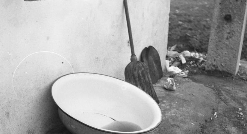 Hegyi Patrícia: A lila vájling