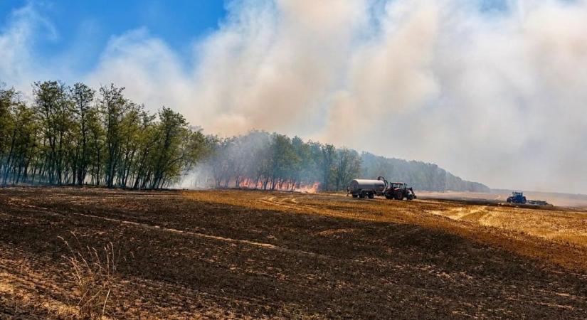 Óriási gabonatűz Vasban: a traktorok is harcba szálltak
