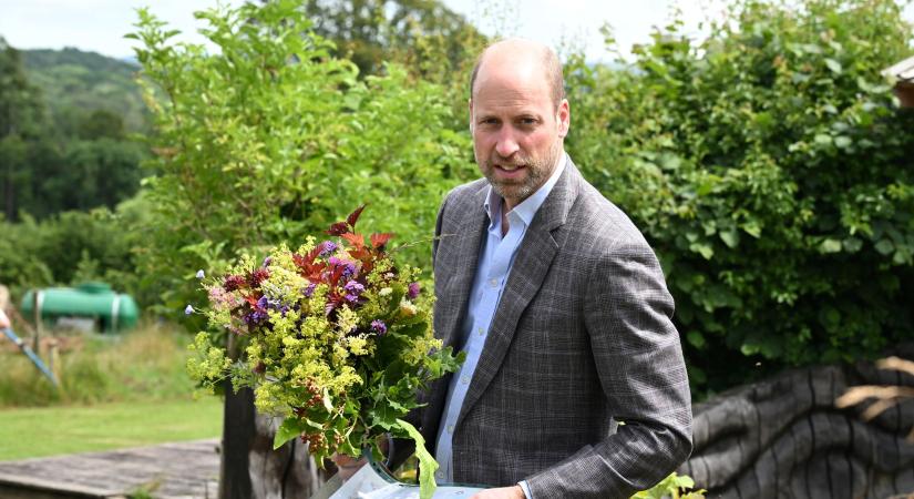 Vilmos herceg brutálisan gazdag: már nagyobb a vagyona Károly királyénál