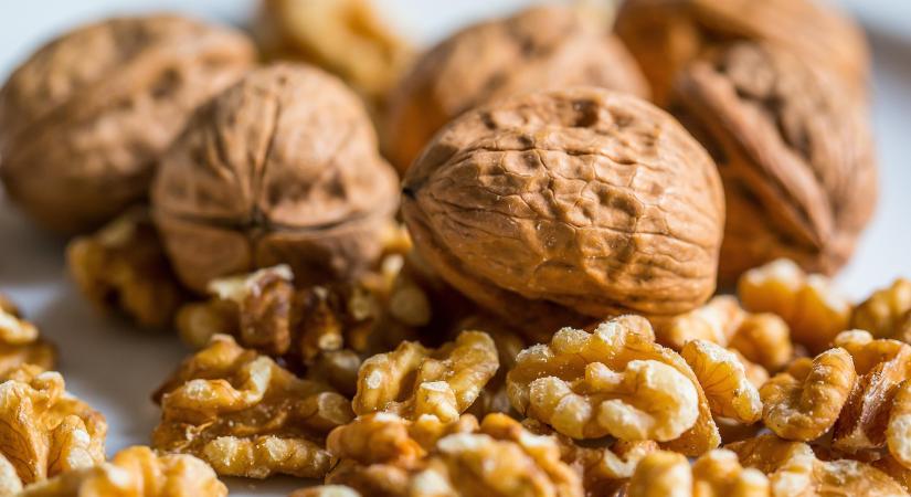 A diótermesztés kiemelt szerepet tölt be Moldova agrárgazdaságában