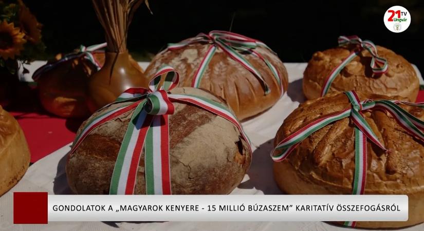 Gondolatok a „Magyarok kenyere - 15 millió búzaszem” karitatív összefogásról (videó)