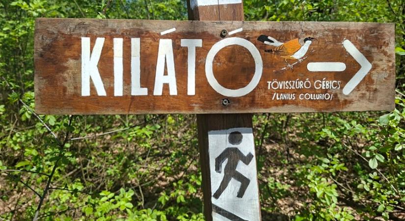 A Festetics-kilátót végre újra megmászhatják a túrázók