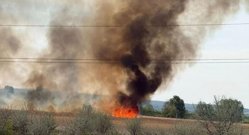 Lángra kapott az erdő Fejérben, tűzoltók rohannak a helyszínre