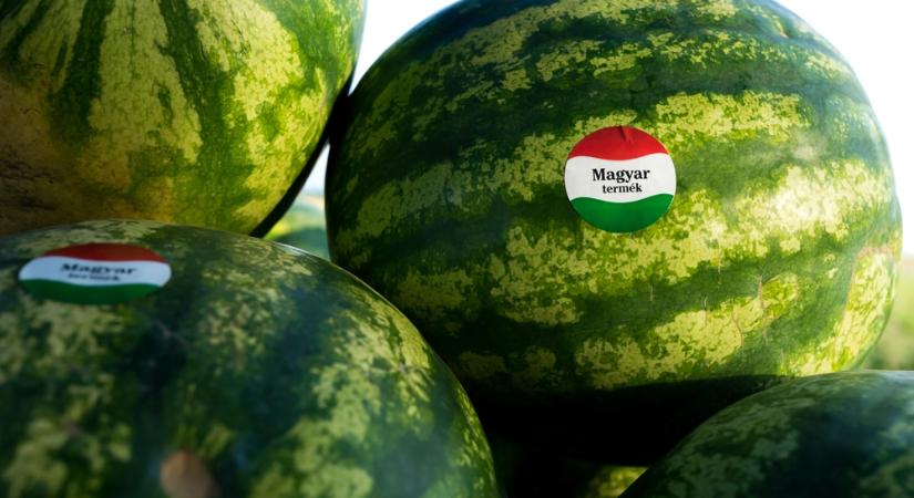 Ez a hat könnyű nassolnivaló segít megküzdeni a hőséggel