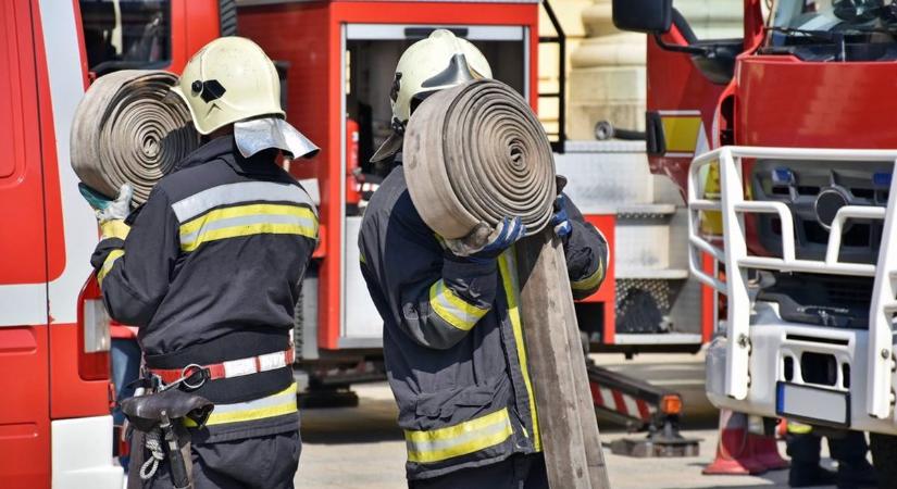Olyan forróság van, hogy azt már a fák sem bírják! Már megint akadt dolga a tűzoltóknak Zalában