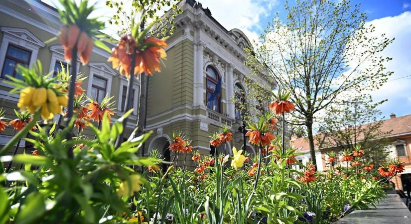 Érdemes lesz Egerben előre tervezni az ügyintézést – mutatjuk mikor zár be a hivatal