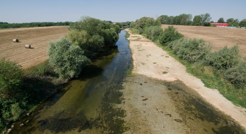 Gyakorlatilag kiszáradt a Sebes-Körös