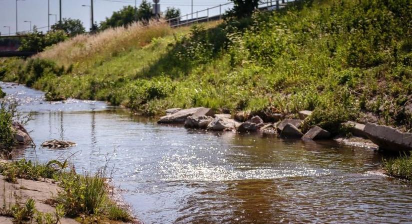 Itt a vizsgálat eredménye: kiderült, mit találtak határérték fölött a narancssárgára festett Szinvában