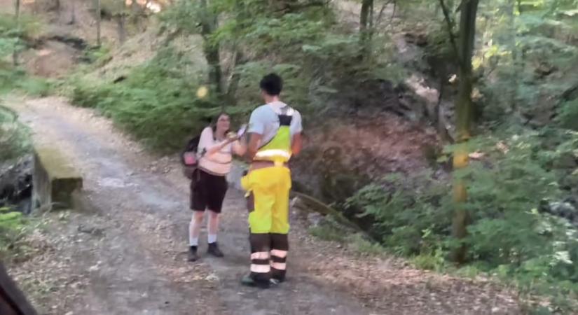 Eltévedt külföldi turistát mentettek ki a Visegrádi-hegységben
