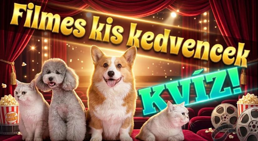 Kvíz: Meg tudod nevezni a kis kedvenceket az ikonikus tévéműsorokból?