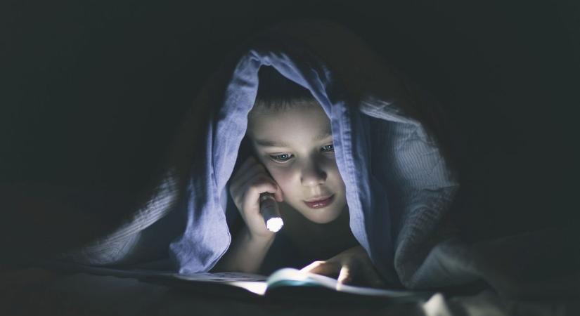 Kvíz: felismered a kötelező olvasmányokat egyetlen szereplőről?