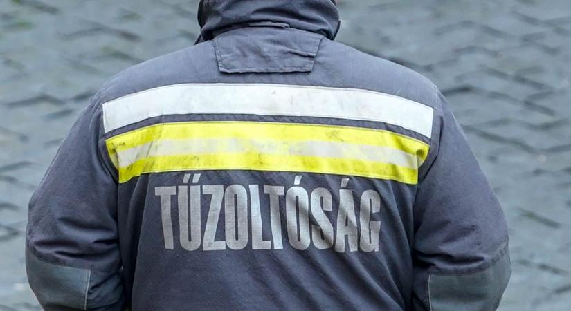 Kutyát mentettek a nánási tűzoltók