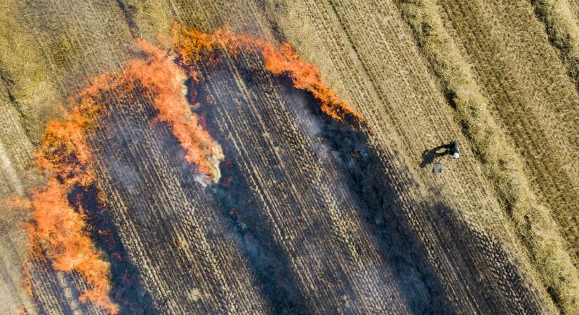 Lángol a mező Pápoc mellett, betárcsázzák a földet, hogy ne érje el a tűz az erdőt – videó