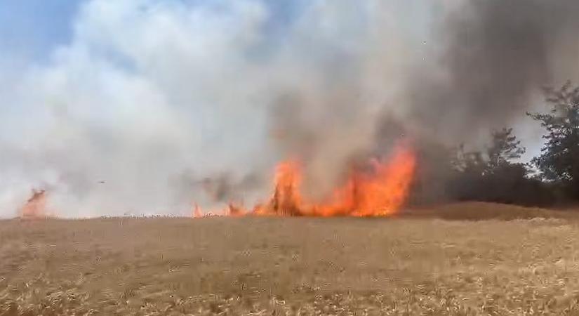 Több helyen tűz ütött ki a pokoli hőségben, országszerte rengeteg munkájuk van a tűzoltóknak