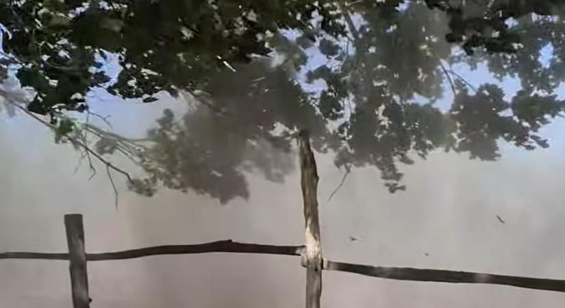 Porördög kavarta fel egy ranch nyugalmát
