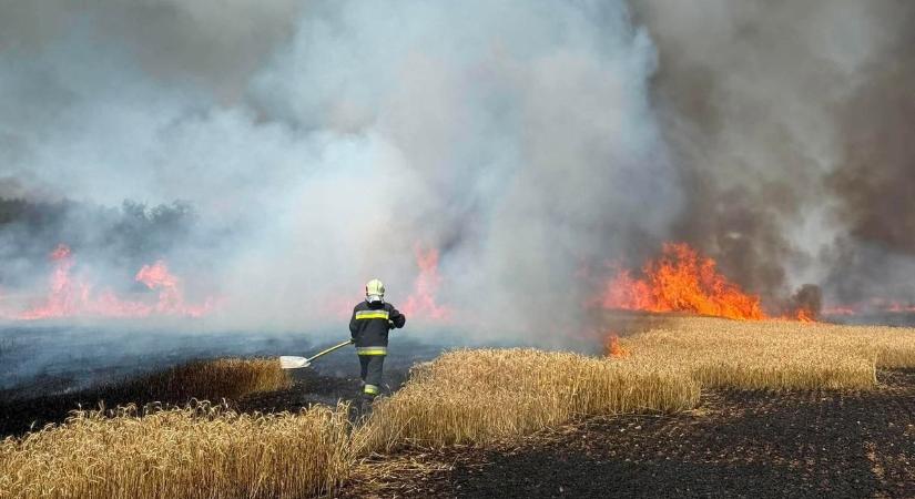 Több hektáron tombol a tűz a megyehatárnál – fotókon és videón a küzdelem