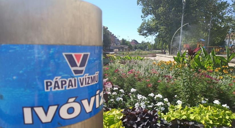 Ivókutak és párakapu segíti a pápaiakat a hőségriasztás idején