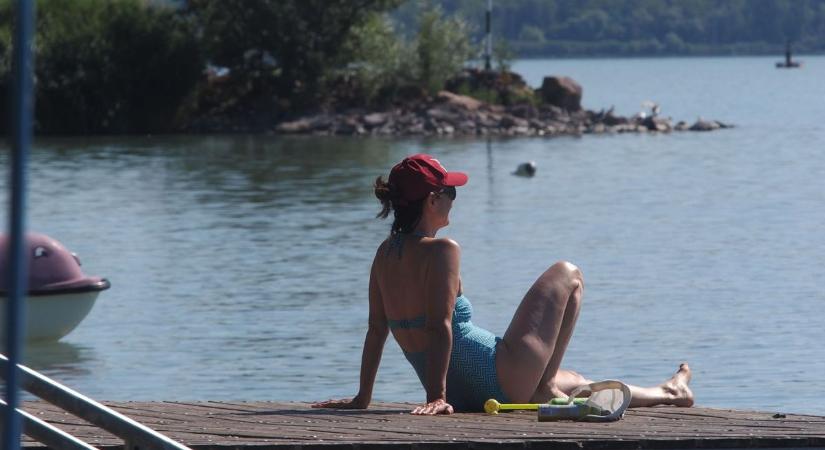 Árvaszúnyogok, inváziós fajok és nádasok – ezek jelentik a Balaton új kihívásait (galéria)