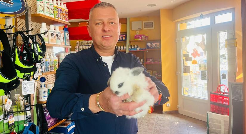 Kisállatok a kutyamelegben: tippek a kánikulára – segít a dinnye, az uborka és a fürdő is