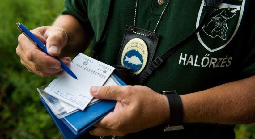 Lecsapott a halőrség a Balatonnál: 275 ezer forintos bírság és 55 hónapnyi eltiltás a mérleg
