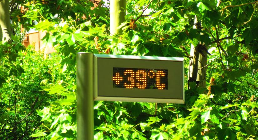 Megvan, mire készülhetünk idén nyáron: ami most van, az csak a kezdet