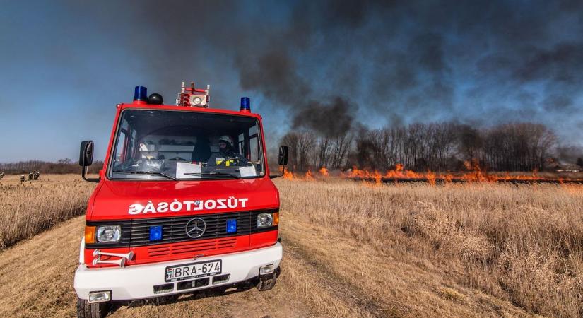 Nyolchektáros terület égett le Vaskút és Gara között