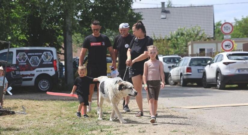 „Nem a múltunkat hagyjuk magunk mögött” – Meglepő bejelentést tett a Diósgyőri Szurkolók az Állatokért Alapítvány