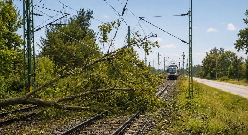 Egy kidőlt fa átírja a menetrendet a Balatonnál, brutális késéseket szednek össze a vonatok a pokoli hőségben