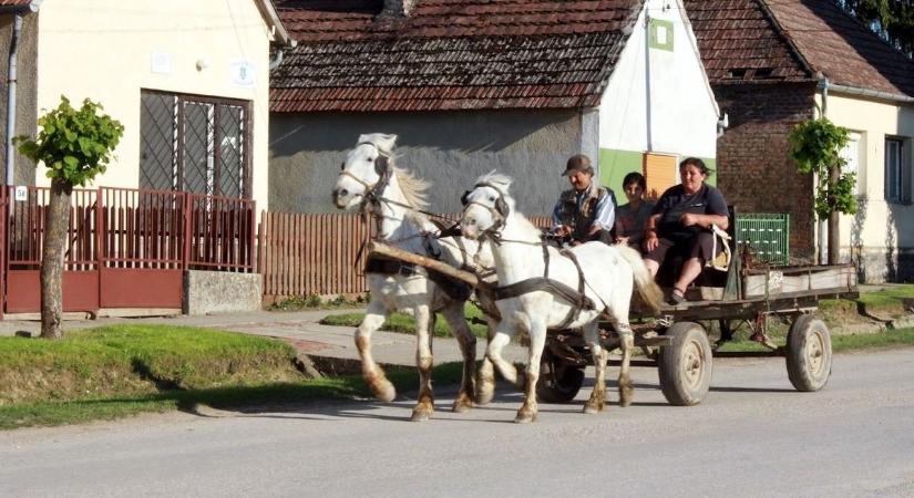 Hihetetlen, mennyit változott Baranya: ma már ritkaság ez a látvány (GALÉRIA)
