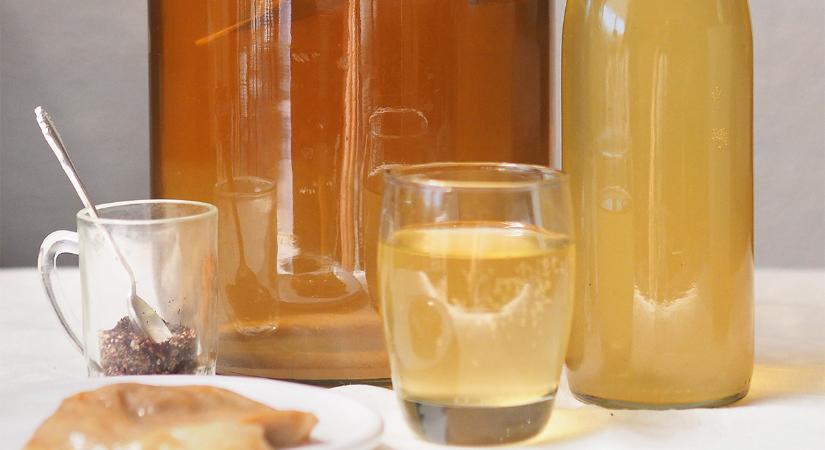 Kombucha: így készítsd el otthon lépésről lépésre kedvenc fermentált üdítődet