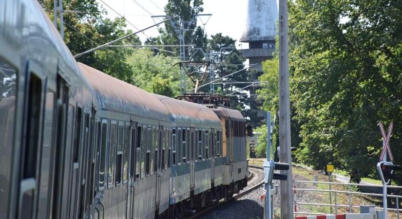Nagyméretű fa dőlt a felsővezetékre - jelentős változások a Balaton déli partján