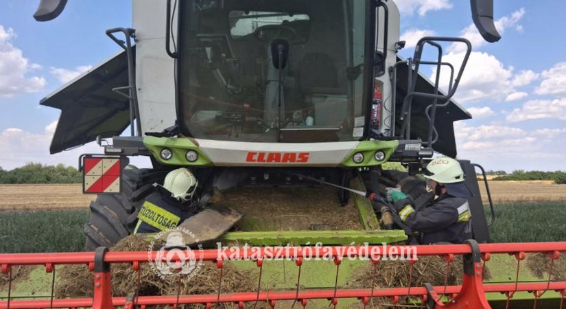 Lángoló kombájnok és megsemmisült termés: drámai pillanatok a gazdák és a tűzoltók életében