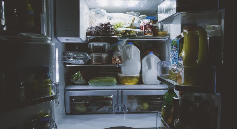 Meddig áll el az élelmiszer a hűtőben, ha elmegy az áram? – tippek, tanácsok