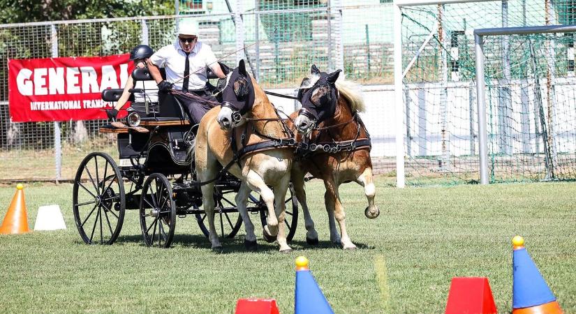 Apáról fiúra száll a gyeplő: generációk hajtották a lovakat Zombán (képgalériával)