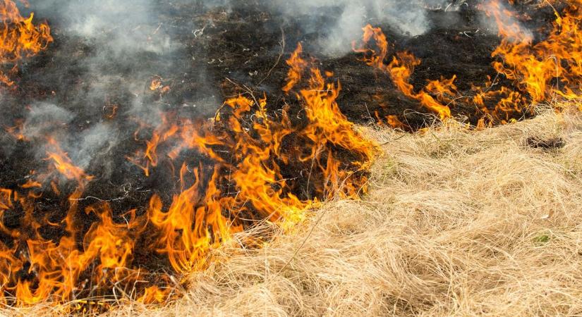 Lángra kapott a tarló Tószeg határában, három hektáron pusztított a tűz