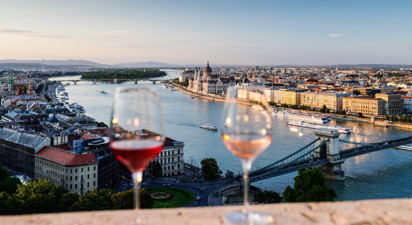 Borszerda a Magyar Nemzeti Galériában