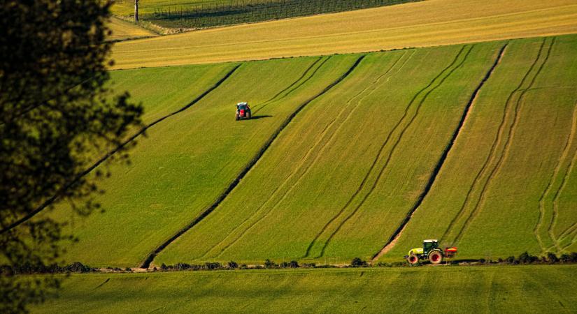 Globális élelmiszersokk fenyeget, jelentős inflációt hozhat a 2026-os El Niño