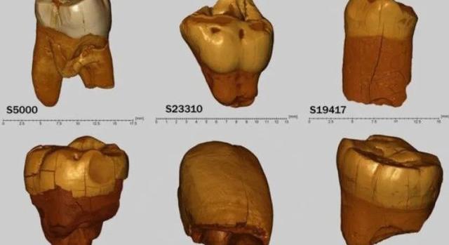 Neandervölgyi migrációs központ volt az őskori Közép-Európa