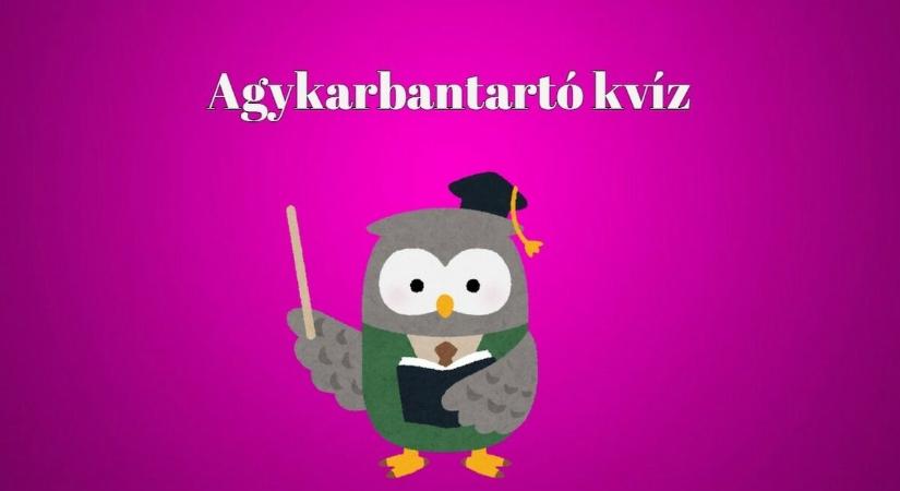 Ha 8 kérdésből legalább 5-re helyesen válaszolsz, te is átlagon felüli vagy - Agykarbantartó kvíz