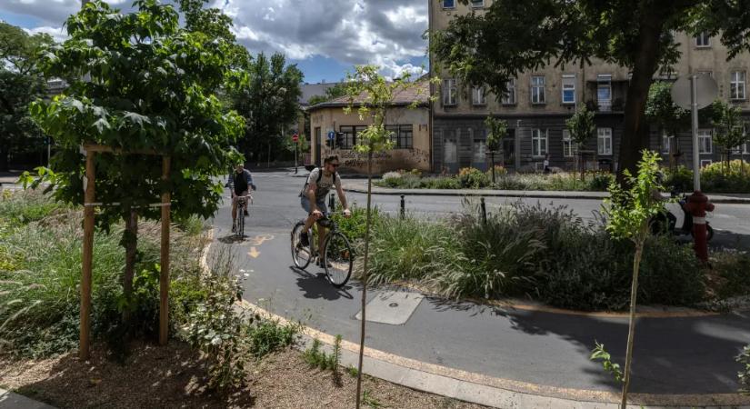 Szürkés imola barátszegfűzik az őszi vérfűvel: megnéztünk négy felszámolt budapesti betonsivatagot