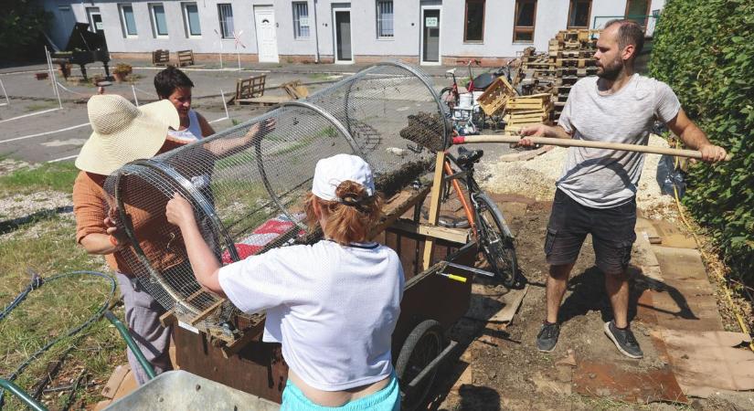 A belvárosi komposztáló első humuszát osztották szét, bárki vihetett belőle haza