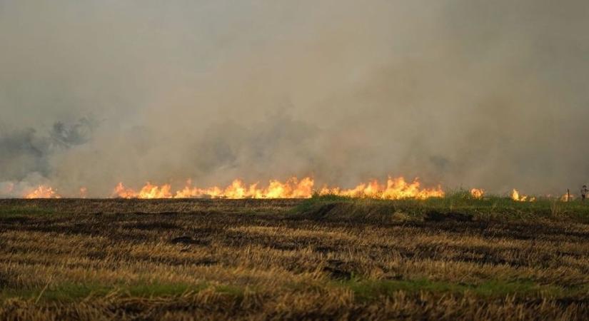 Lángoló szeméthegyek és aljnövényzet, Szolnokról rohantak a tűzoltók